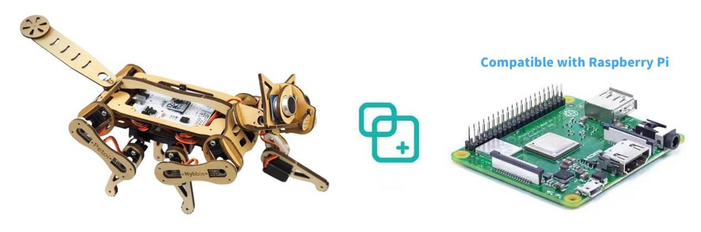 Program Petoi Robot Cat Nybble with Raspberry Pi